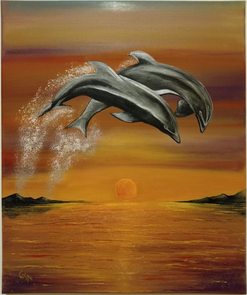 Dolphins At Sunset